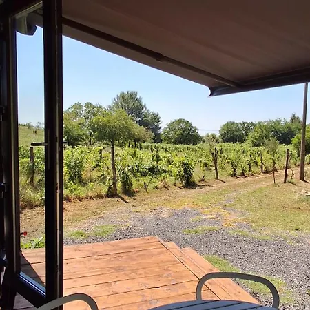 Casa de Férias Tiny Badacsony *