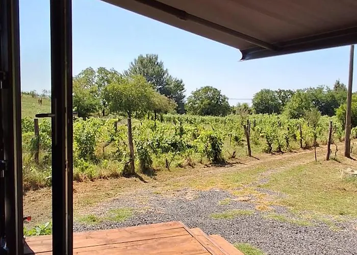 Casa de Férias Tiny Badacsony *